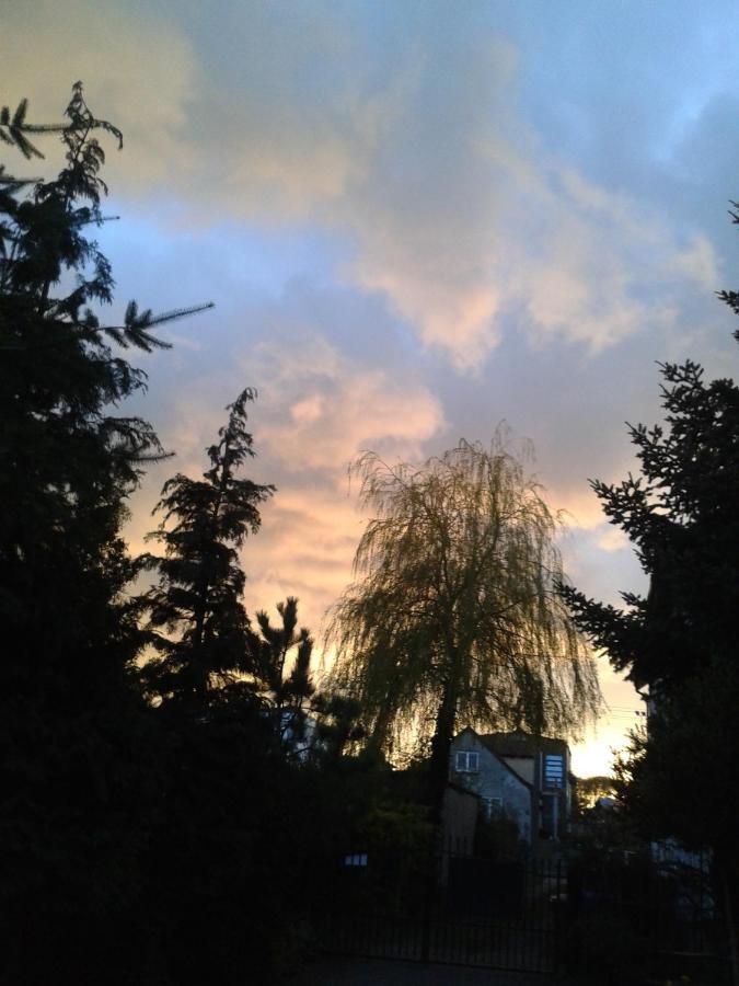 Villa Jaskolka Miedzyzdroje Exteriör bild